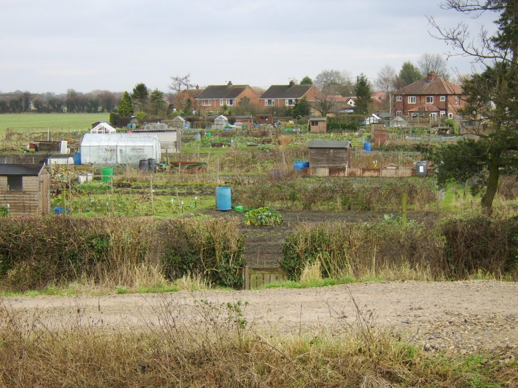 Copmanthorpe Allotments