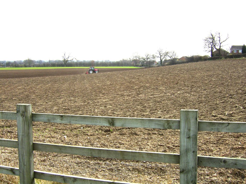 Copmanthorpe Landscape